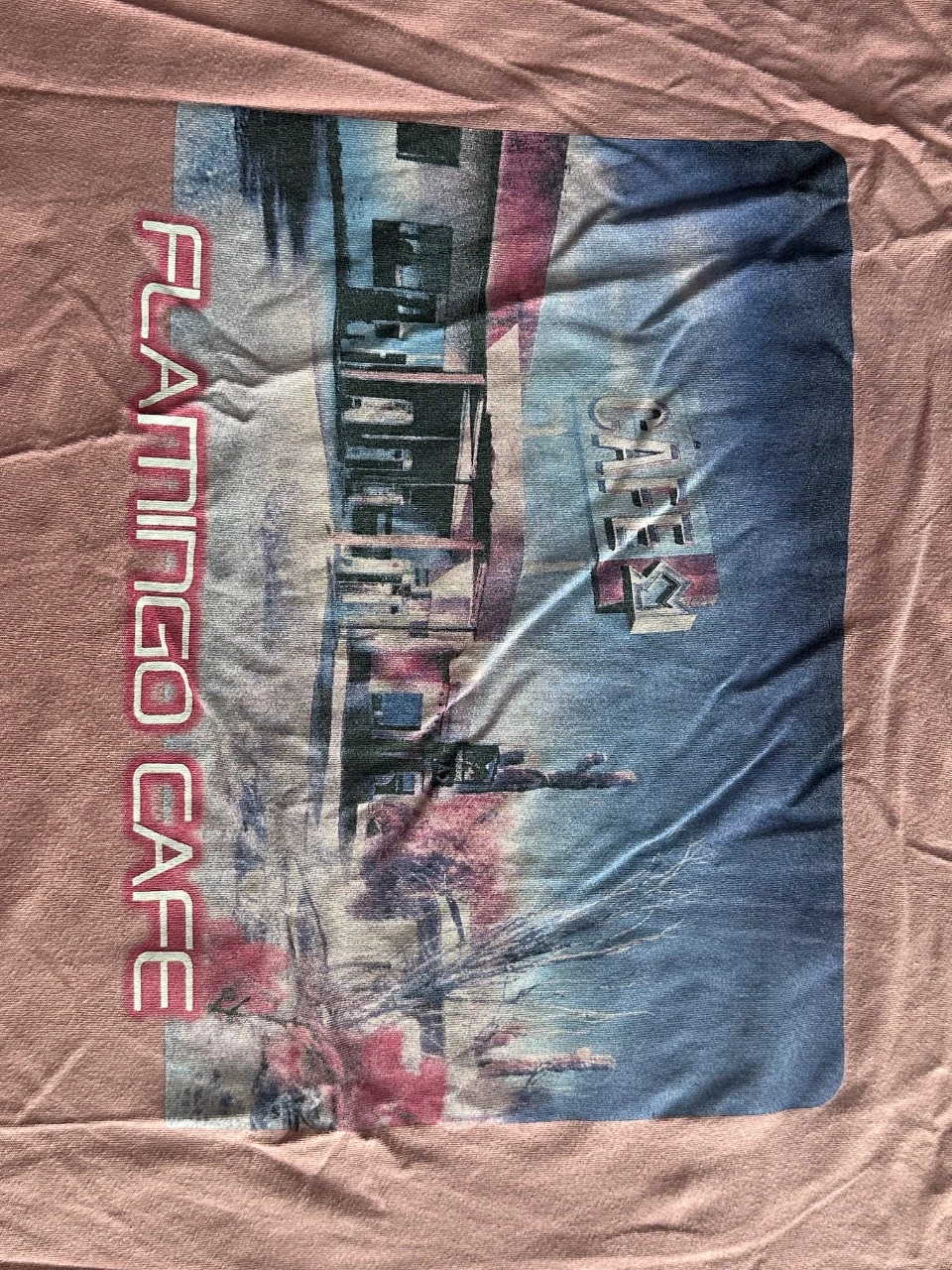 Camiseta Bershka estilo Y2K rosa polvoroso con estampado de Flamingo Café - Talla S – photo 2